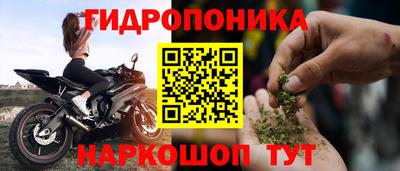 тгк Гусев